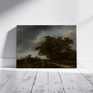 Jan Vermeer, Landskapet Kant i Dunes Poster