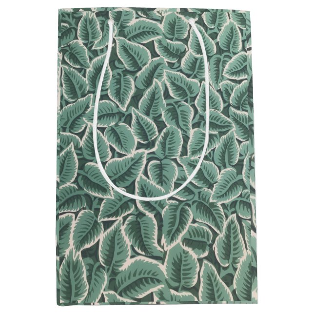 Jane Austen's Home Wallpaper (Framsidan)