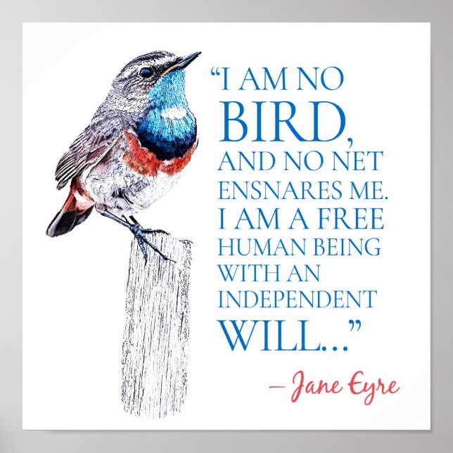 Jane Eyre - jag är ingen fågel - Blue Throated Bir Poster (Framsidan)