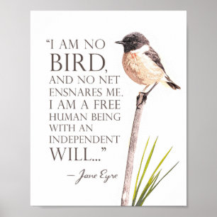 Jane Eyre - jag är ingen fågel - Brown Bird Poster
