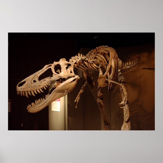 Jane - vy #6 poster (Framsidan)