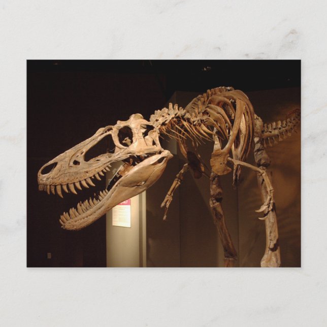 Jane - vy #6 vykort (Framsida)