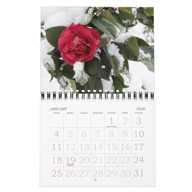 Janettes Garden 2012-kalender Kalender (Jan 2026)