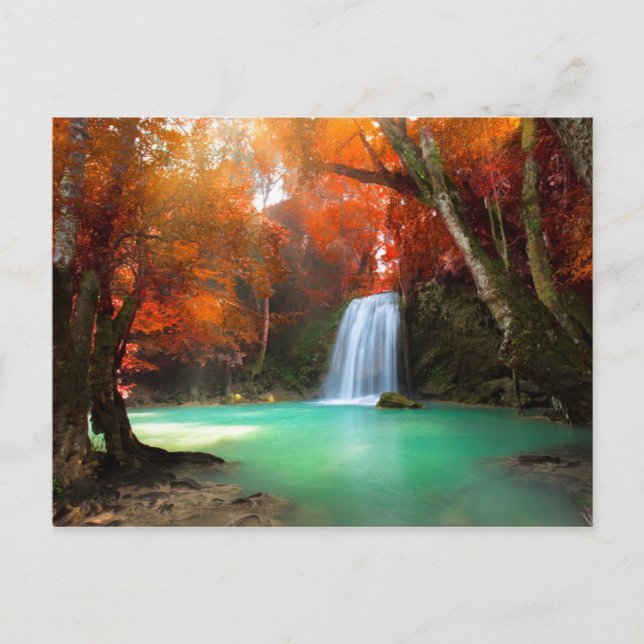 Jangel liggande | Kanchanaburi, Thailand Vykort (Framsida)