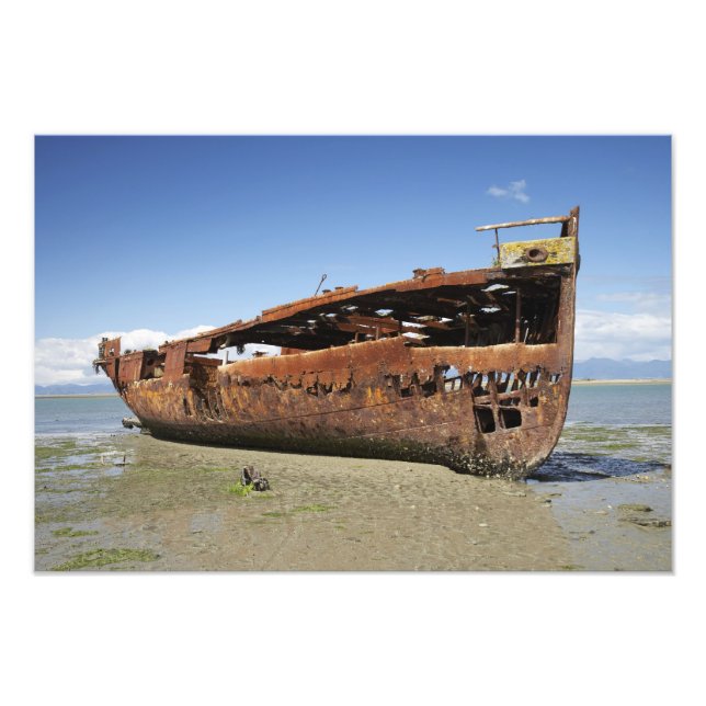 Janie Seddon Shipwreck, Motueka, Nelson Fototryck (Framsidan)