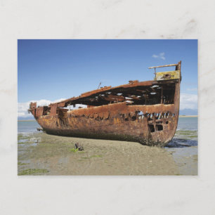 Janie Seddon Shipwreck, Motueka, Nelson Vykort