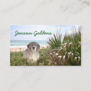 Jansun Goldens visitkort