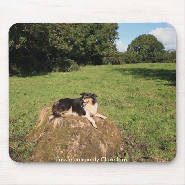 Jänta Musmatta (Framsidan)