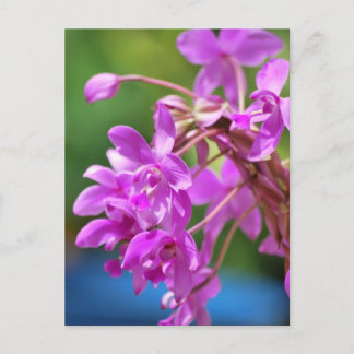 Januari-Blommarna Vykort