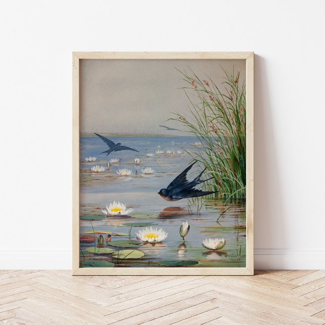 januari | Fidelia Bridges Poster (Skapare uppladdad)