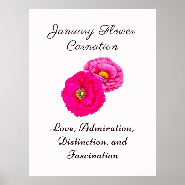 Januari Födelsemånad Flora Elegant för blomkorgen Poster (Framsidan)
