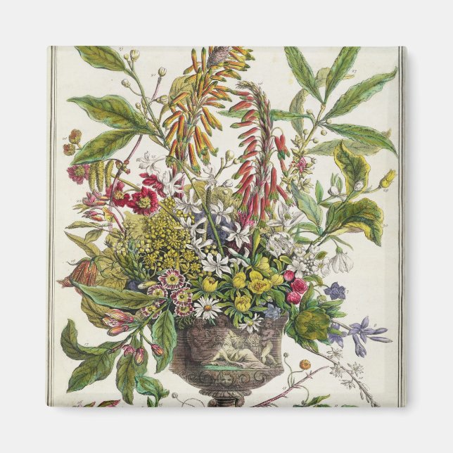 Januari, från "Tolv månader av blommor" Magnet (Framsidan)