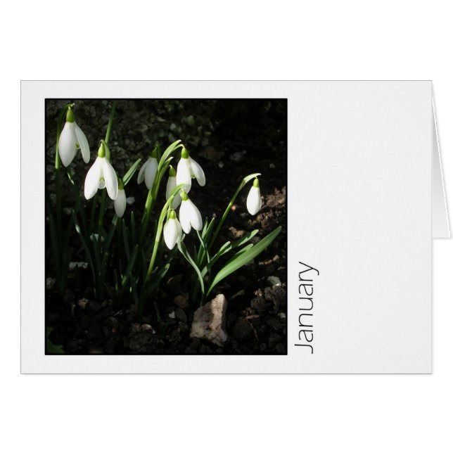 Januari Hälsningskort (Framsidan Horizontal)