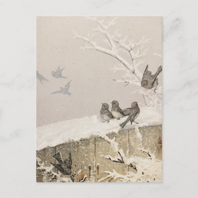 Januari II | Fidelia Bridges Vykort (Framsida)