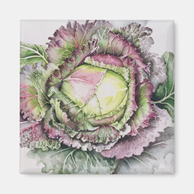 Januari Kung-kål Magnet (Framsidan)