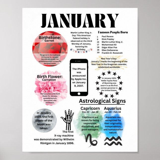 Januari Roligt Facts Poster (Framsidan)