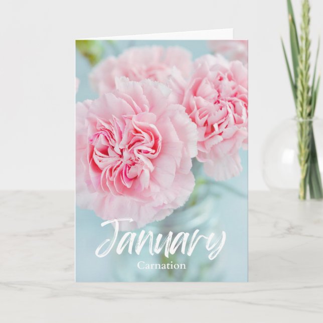 Januari Rosa Carnation Birkeland Flower Birthday Kort (Framsida)