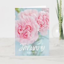 Januari Rosa Carnation Birkeland Flower Birthday