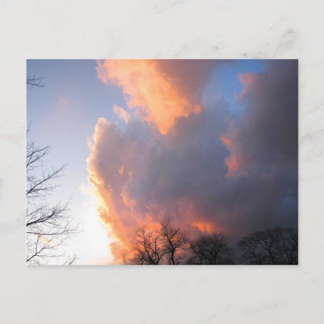 Januari Skywatch Vykort (Framsida)