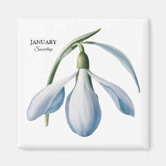 Januari Snödroppe Bloom - Personlig Gift Magnet