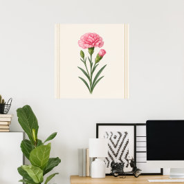 Januarifödelsedagsblomma, Nejlikas botaniska Poster
