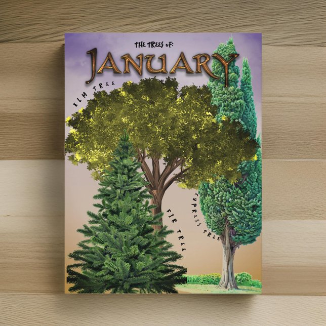 Januarmånad Träd Elm Fir Cypress Vykort (Skapare uppladdad)