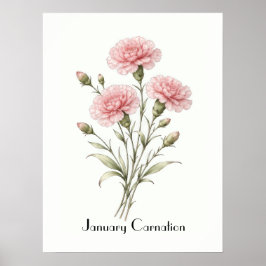 January Carnation Flowers Poster