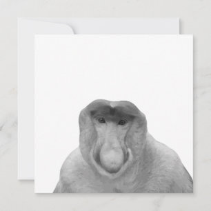 Janusz Meme, Proboscis Monkey, Polak, Pole Janus Tack Kort