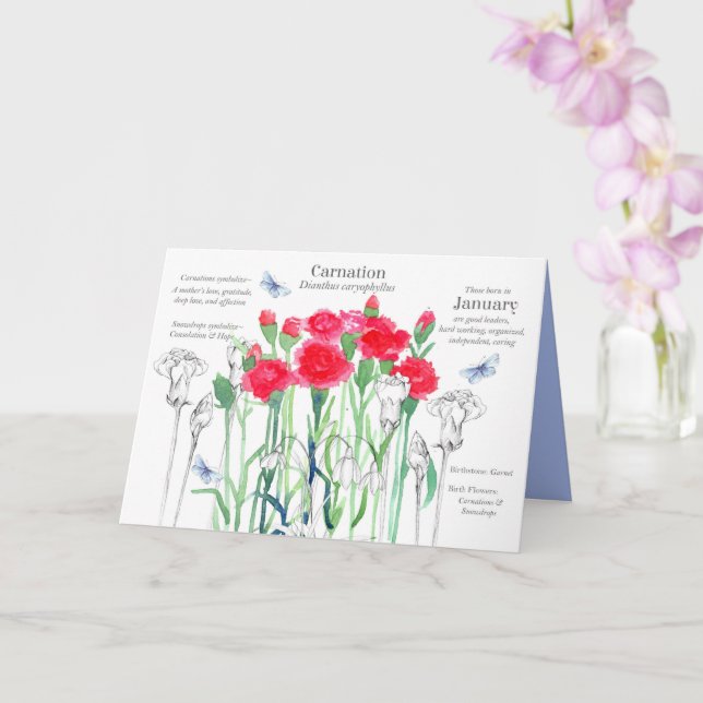Januthday Red Rosa Carnation Flowers Kort (Orkide)