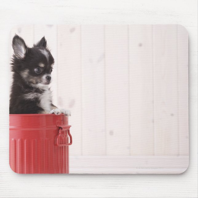 Japan 4 musmatta (Framsidan)