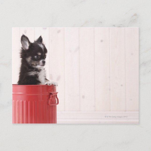 Japan 4 vykort (Framsida)