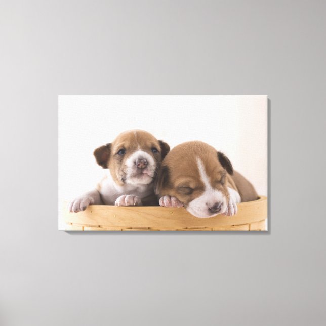 Japan 5 canvastryck (Framsida)