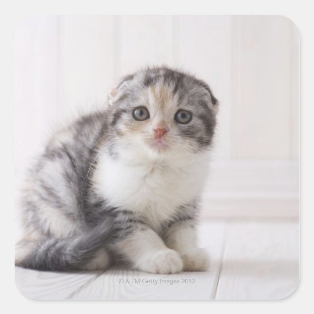 Japan 5 fyrkantigt klistermärke (Framsida)