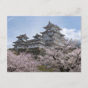 Japan Castle Vykort