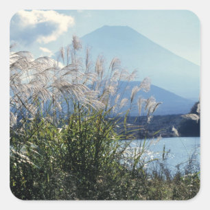 Japan, Honshu, Yamanashi pref., Fuji-Hakone-Izu Fyrkantigt Klistermärke