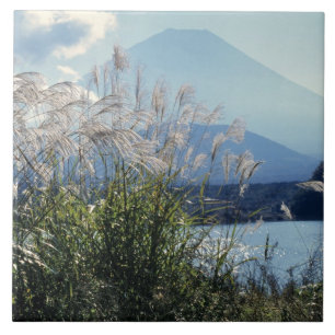 Japan, Honshu, Yamanashi pref., Fuji-Hakone-Izu Kakelplatta