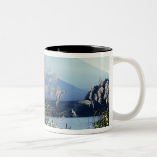 Japan, Honshu, Yamanashi pref., Fuji-Hakone-Izu Två-Tonad Mugg