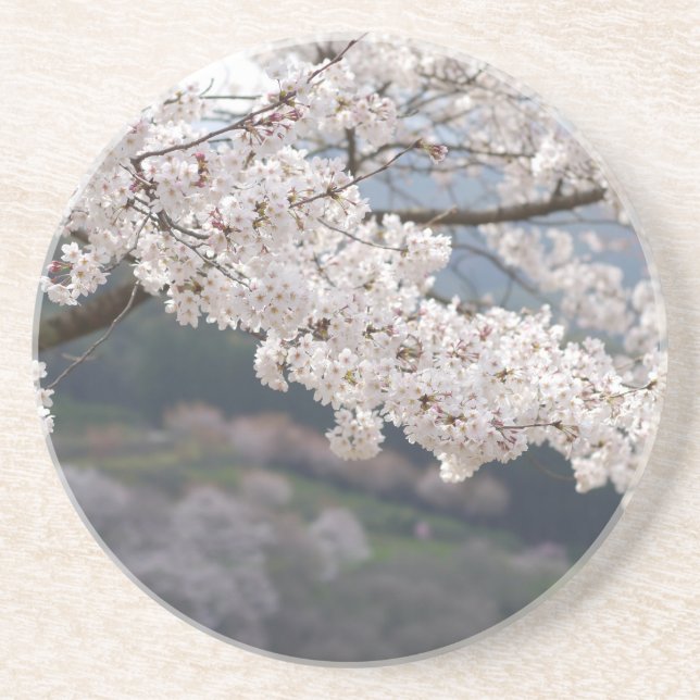 Japan Kumamoto Cherry Blommar Underlägg Sandsten (Framsidan)