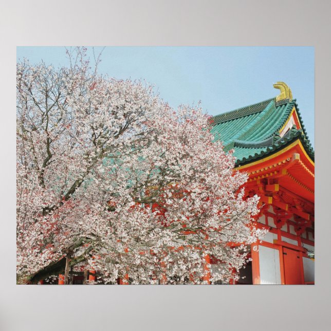 Japan, Kyoto. Cherry blommar of Shinto Poster (Framsidan)