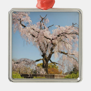Japan, Kyoto. Gråtande körsbärsträd under blå himm Julgransprydnad Metall