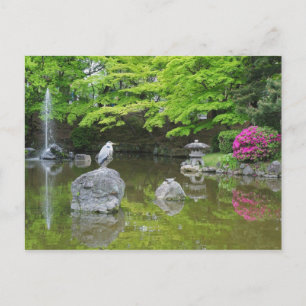 Japan, Kyoto. Hägrar i färska gröna blad Vykort