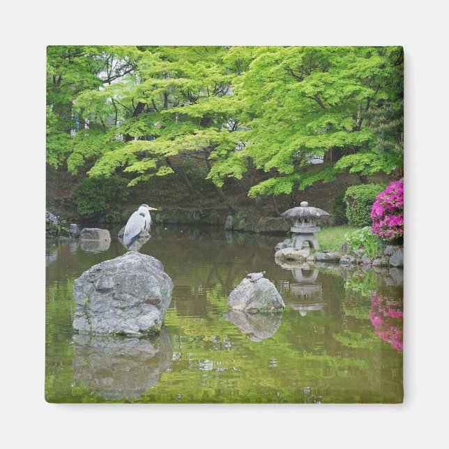 Japan, Kyoto. Heron i färsk grönt löv Magnet (Framsidan)