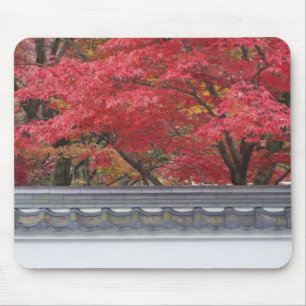 Japan, Kyoto, Hösten Färg vid Eikando Temple Musmatta