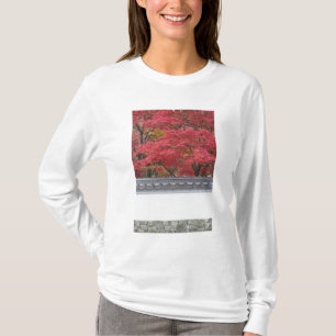 Japan, Kyoto, Höstfärg vid Eikando-templet Tee