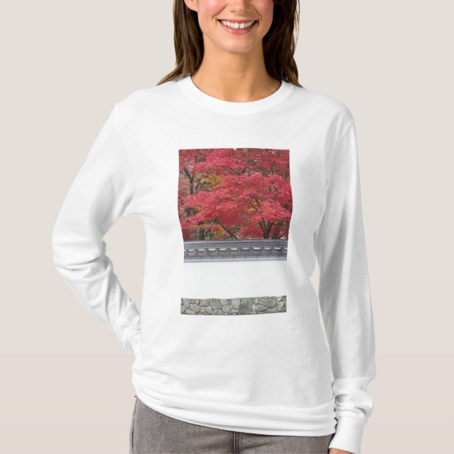 Japan, Kyoto, Höstfärg vid Eikando-templet Tee (Framsida)