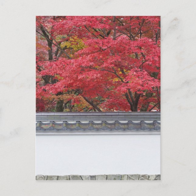 Japan, Kyoto, Höstfärger vid Eikando-templet Vykort (Framsida)