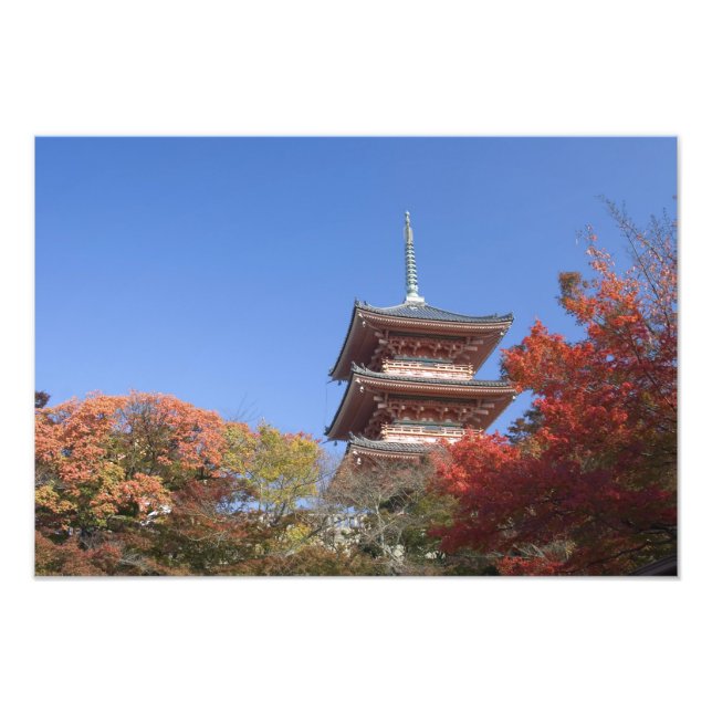 Japan, Kyoto, Pagod i höstfärger Fototryck (Framsidan)
