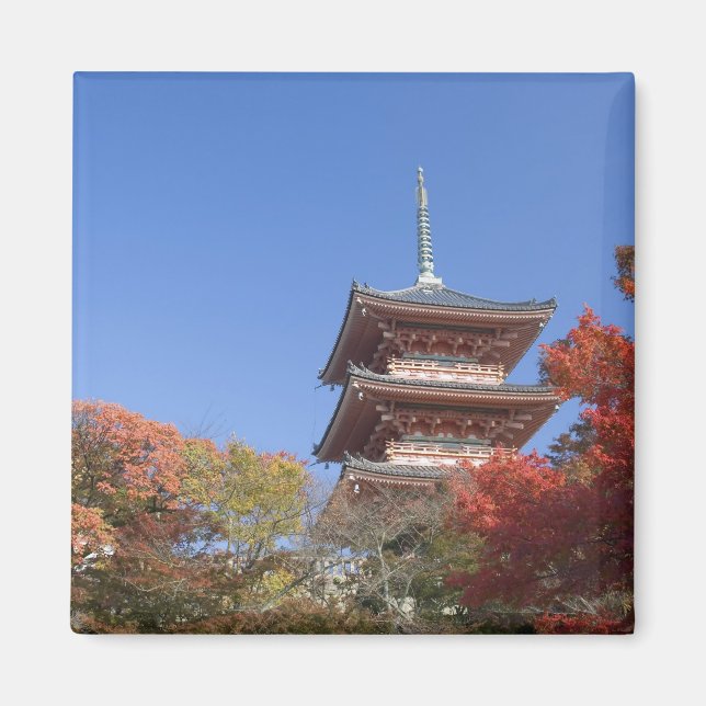 Japan, Kyoto, Pagod i höstfärger Magnet (Framsidan)