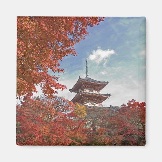 Japan, Kyoto, Pagod i höstfärger Magnet (Framsidan)