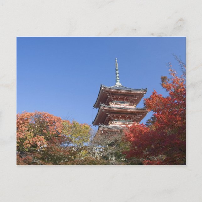 Japan, Kyoto, Pagod i höstfärger Vykort (Framsida)
